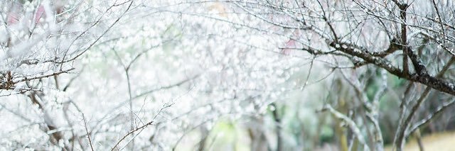 みなと banner