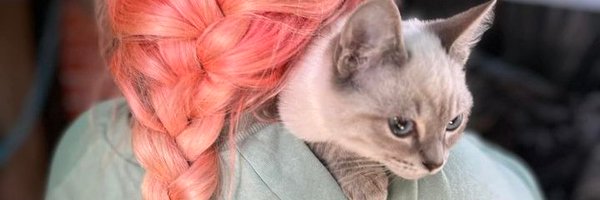 EvilDoma Profile Banner