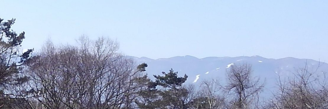 botanno's profile banner image