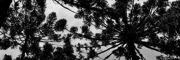 budzinski_r Profile Banner
