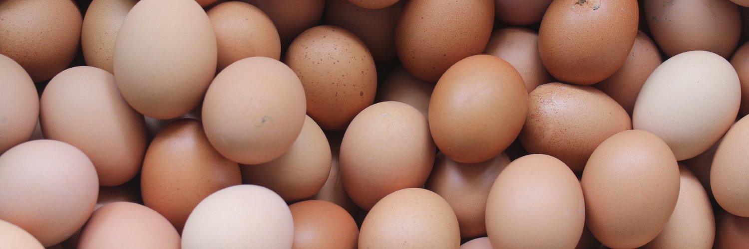 🔞Omelette 🍳 {Indigested} banner