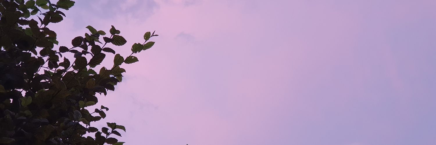 Ly2seokook's profile banner image