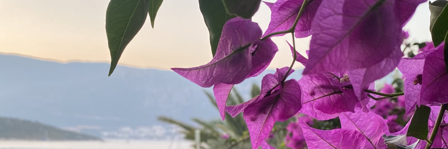 ciftcioglu7's profile banner image