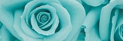 no_emedia's profile banner image