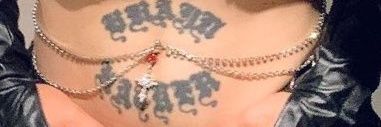 carolnosekai's profile banner image