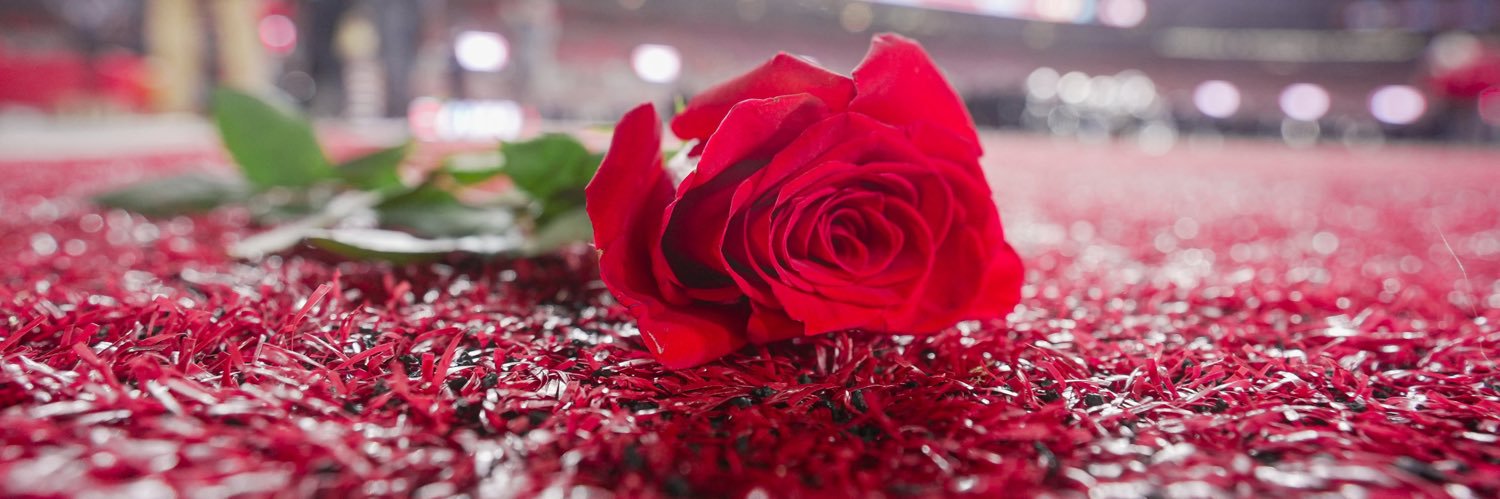 Iain D. Wright banner