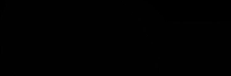 sofiixii's profile banner image