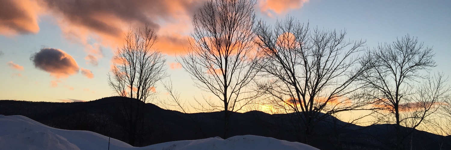 CSSN (Moved to Bluesky @cssn.org) banner