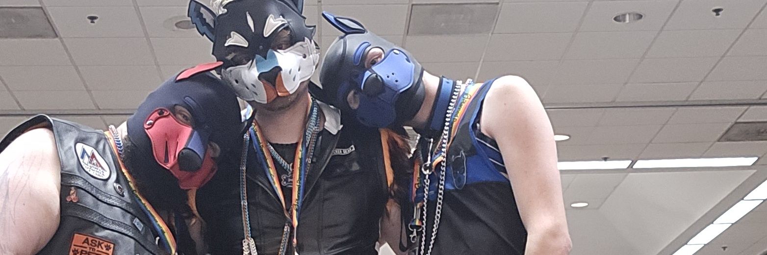 PupTrident28's profile banner image