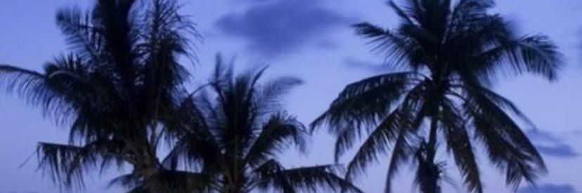 Отец русской демократии banner