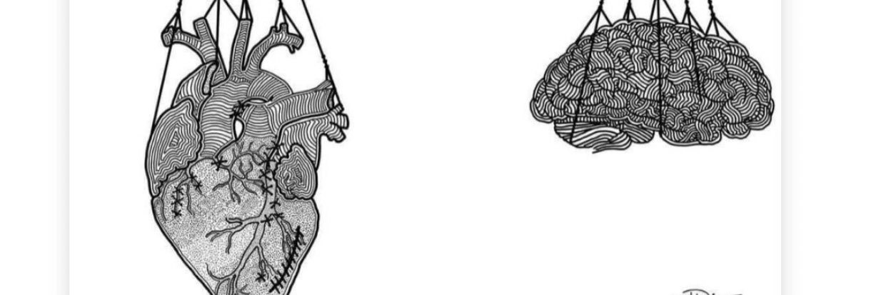 zynpyldzz1's profile banner image