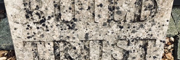 AdeleB_NI Profile Banner