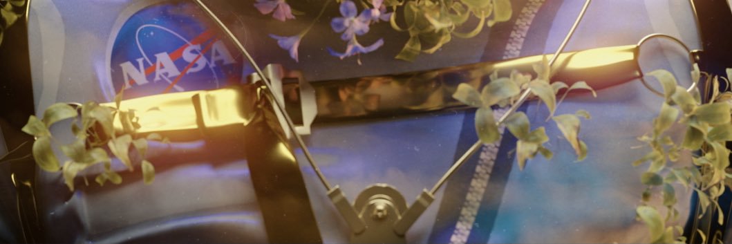 INxP banner