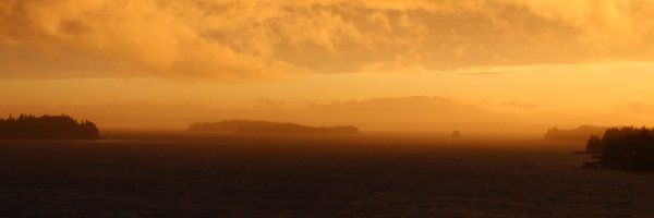 ChrisHalef Profile Banner