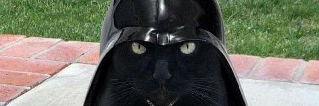 JotaR07's profile banner image