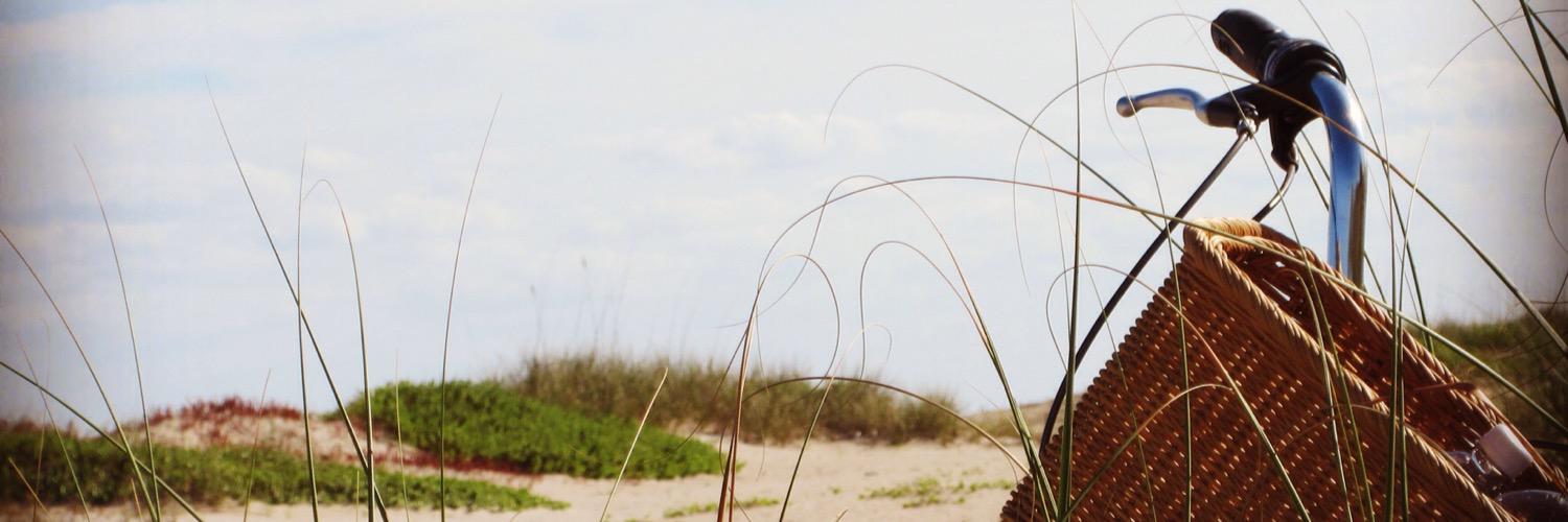 DixieDebutantes's profile banner image