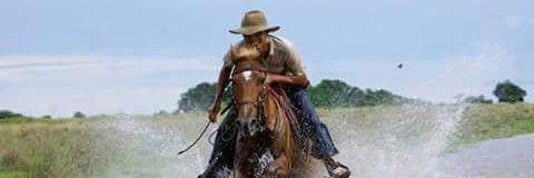 ChopisBonilla's profile banner image