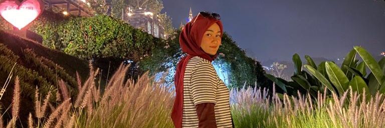 andini banner