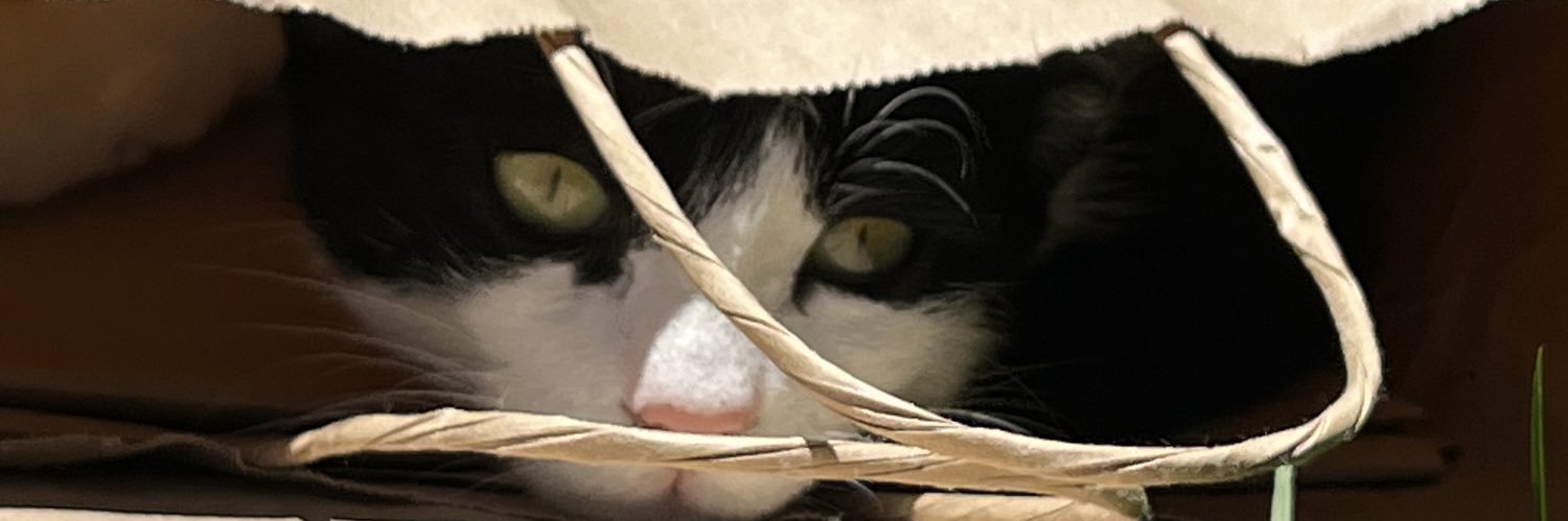 bazendogru's profile banner image