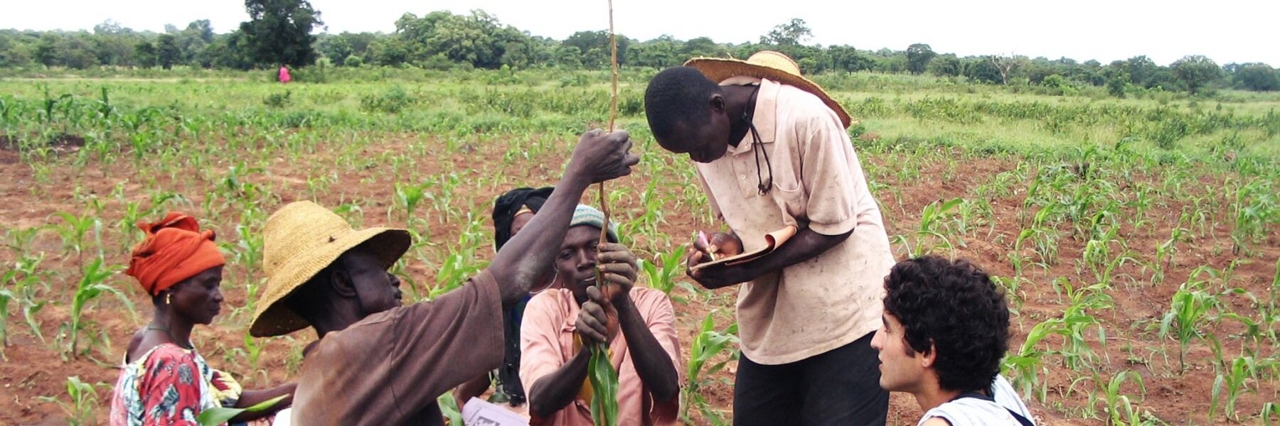 EWB Toronto Professional Chapter banner