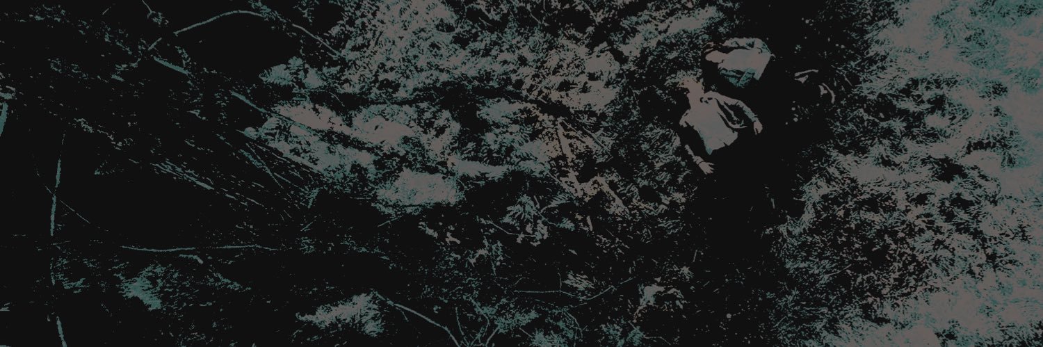 TWlLIGHTFORKS's profile banner image