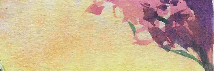 Benji_Tokala's profile banner image