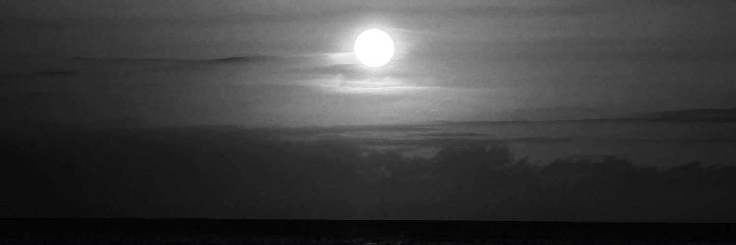 oceannrogister's profile banner image