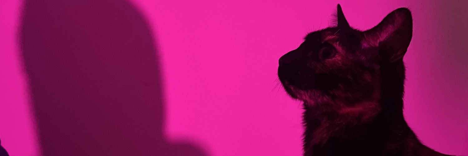 McLovin ٠࣪⭑ banner