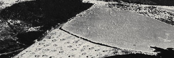 montarecs Profile Banner
