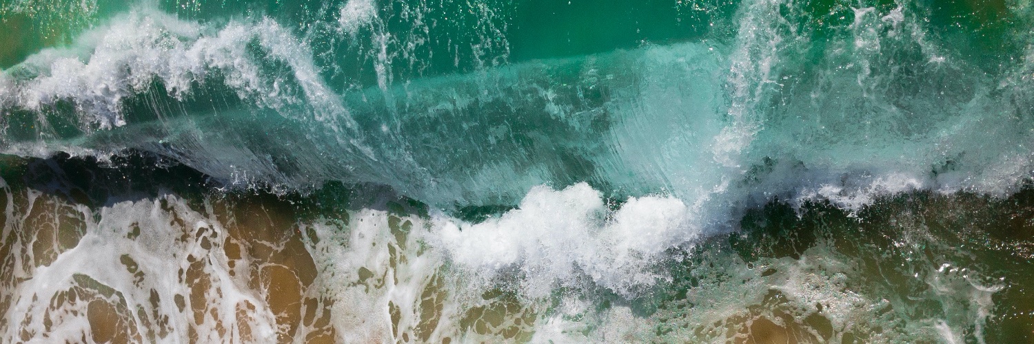 UNSW Beach Safety Research Group banner
