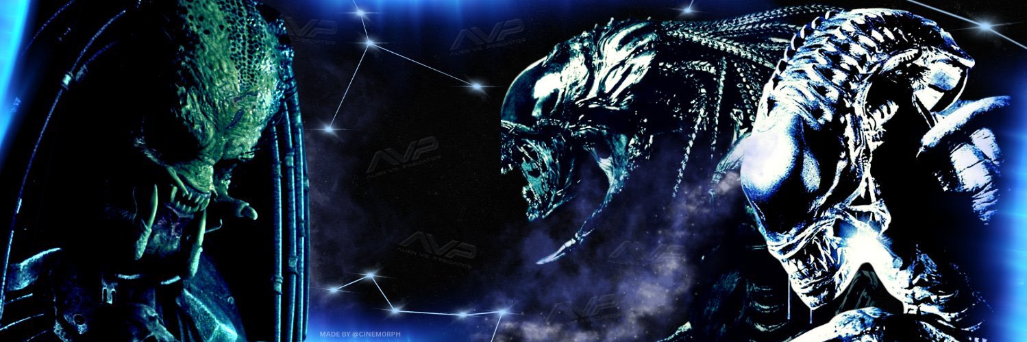 Niz's banner