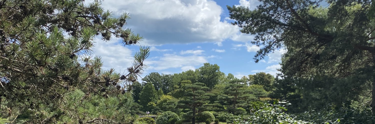 jzoia's profile banner image