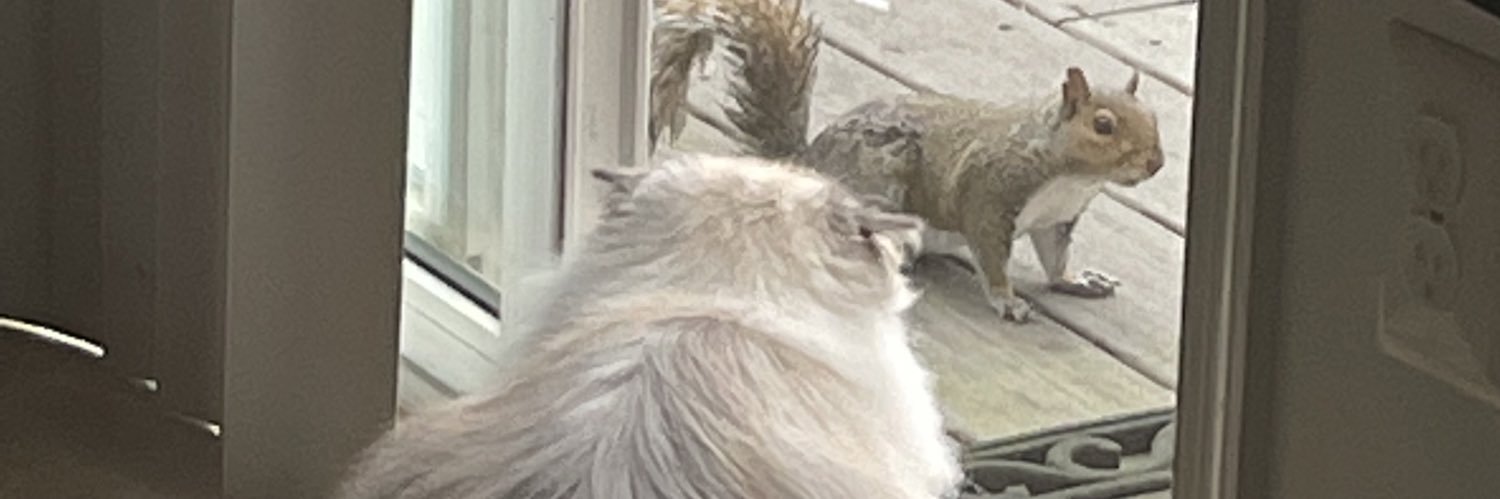 ⛈️ banner