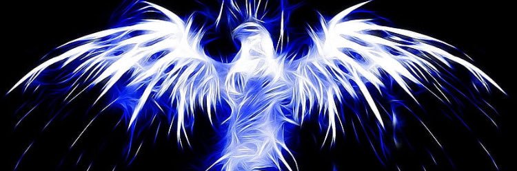Little Thunder Light Warrior banner