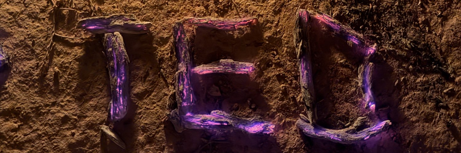 Ted banner