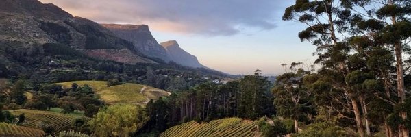 burnsurgeon1 Profile Banner