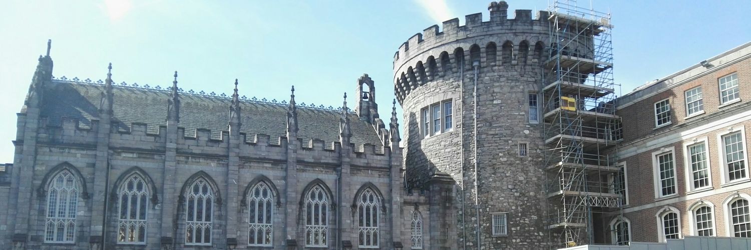 The Friends of Medieval Dublin banner