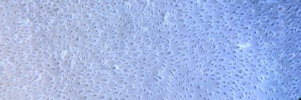 Pmed27 Profile Banner