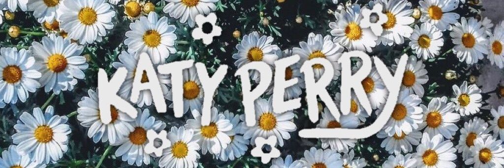 katycatveer's profile banner image