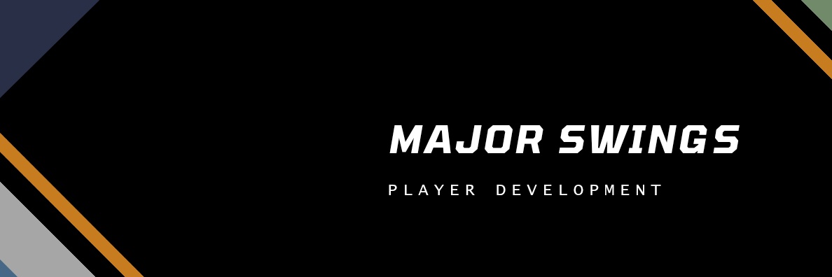 MajorSwings's profile banner image