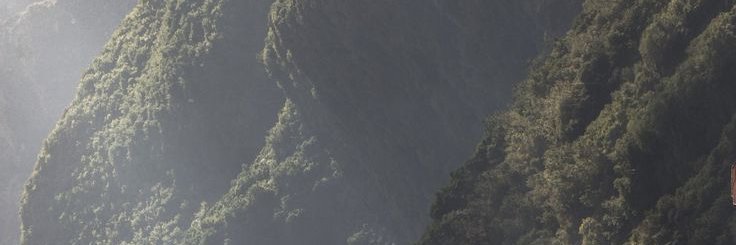 AlyssaHetti's profile banner image