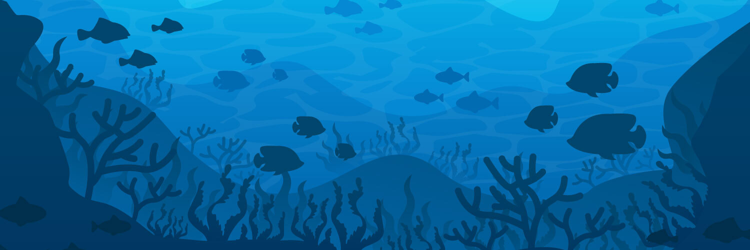 Belugaくん🐬 banner