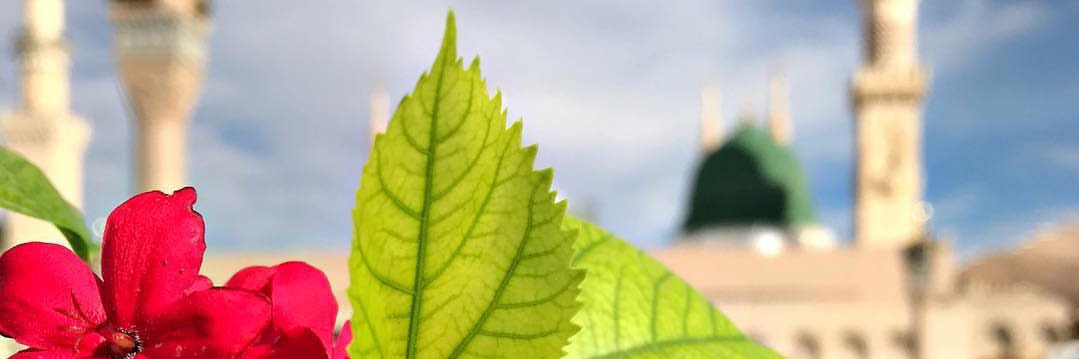 AlsaqerSamei's profile banner image