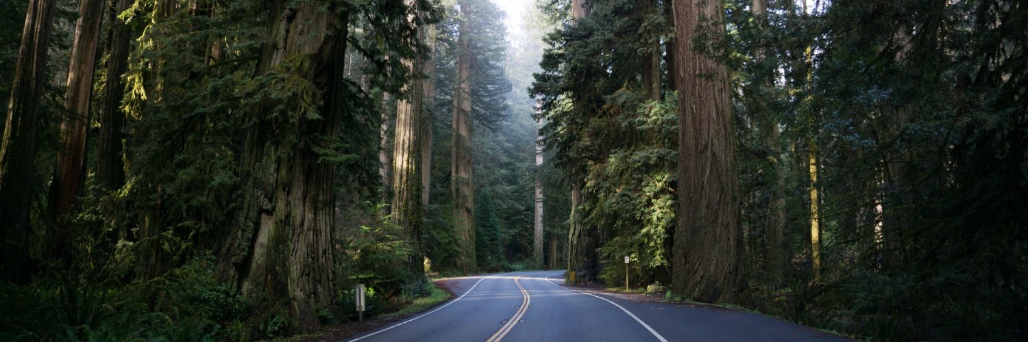 TheSiliconForest.com banner