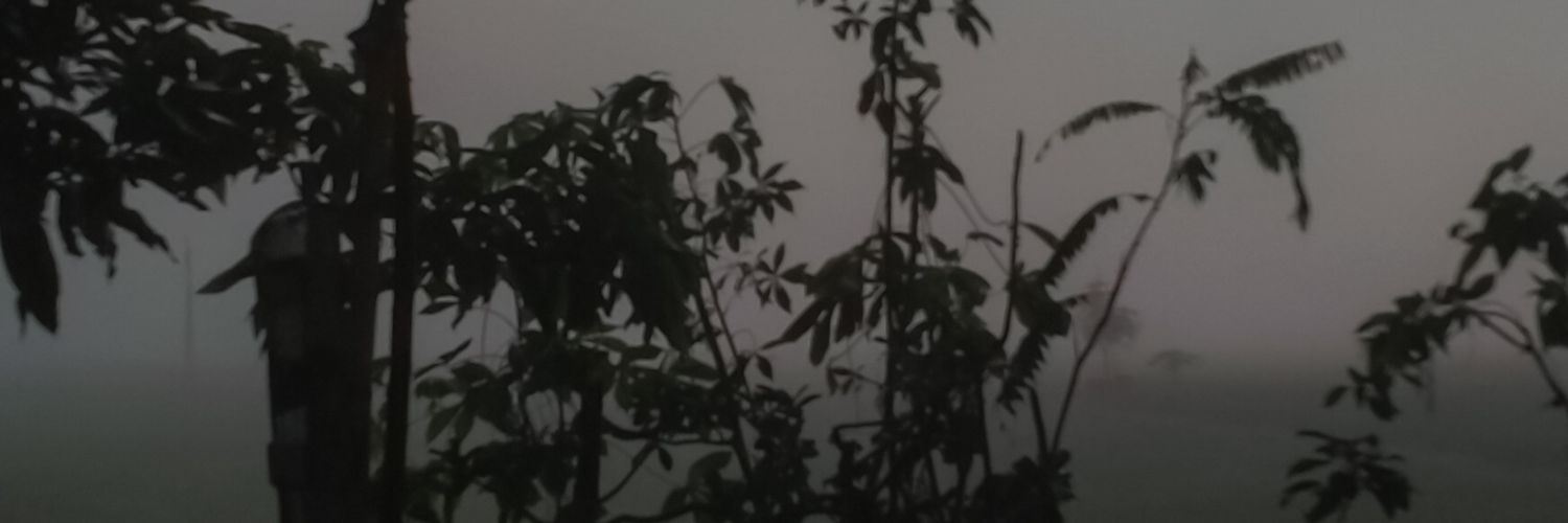 squid banner