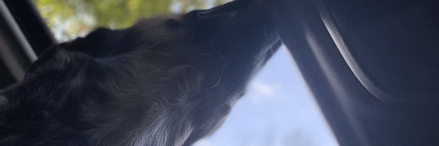 RyanSudsTritini's profile banner image