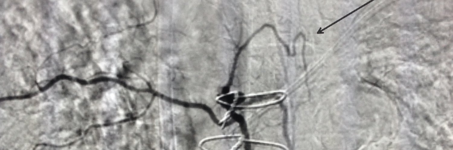 Gossy Pi Boma MD banner