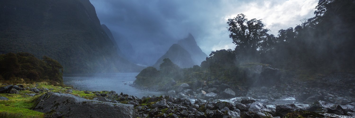 Kiwi_as 🇳🇿🇺🇦 banner