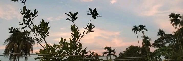 Brevo265's profile banner image