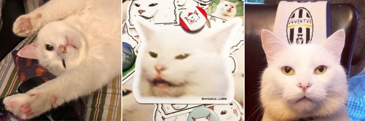 Laughing Amanda 🥥🌴 banner